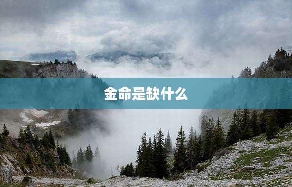 金命是缺什么
