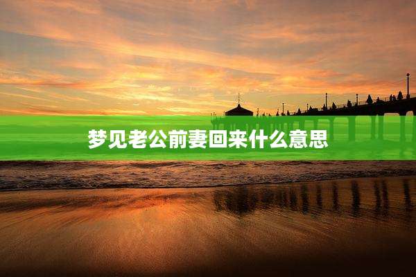 梦见老公前妻回来什么意思