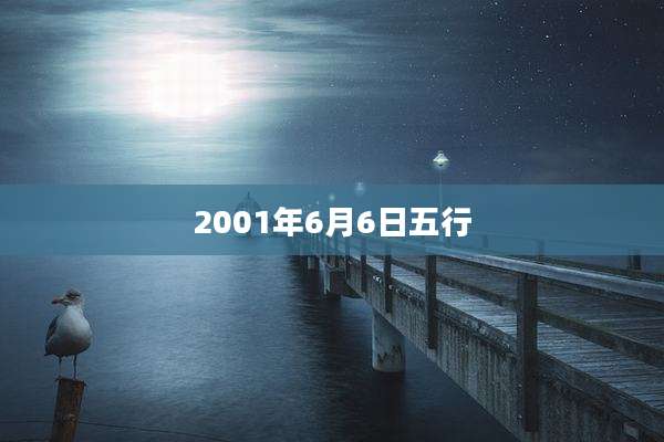 2001年6月6日五行