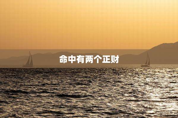 命中有两个正财