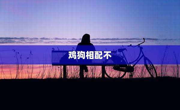 鸡狗相配不