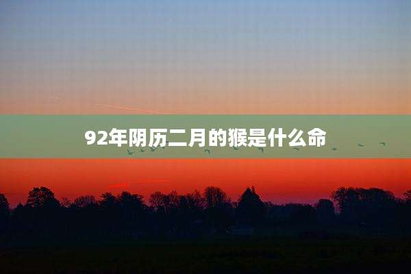 92年阴历二月的猴是什么命