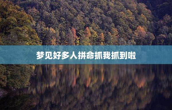 梦见好多人拼命抓我抓到啦