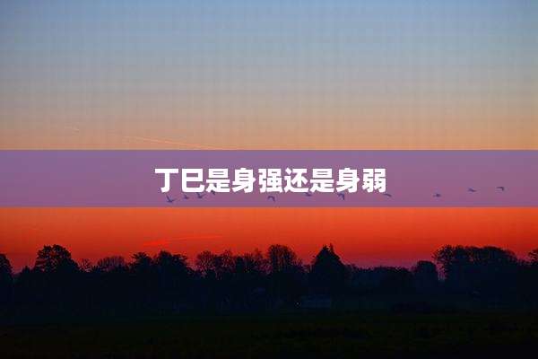 丁巳是身强还是身弱