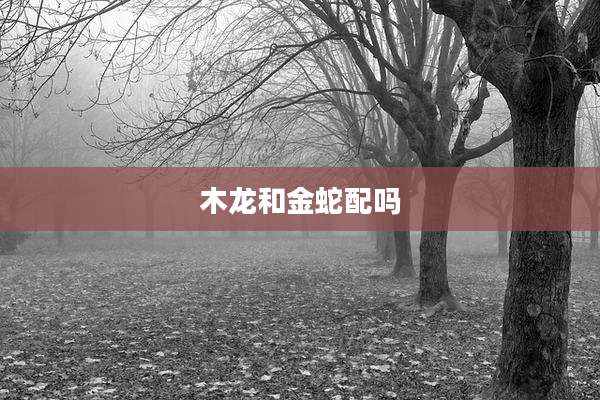 木龙和金蛇配吗