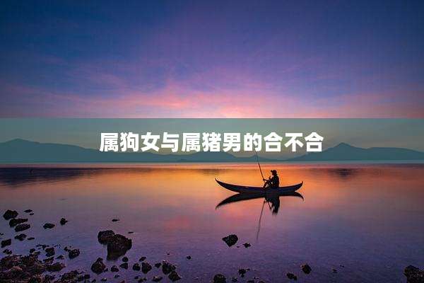 属狗女与属猪男的合不合