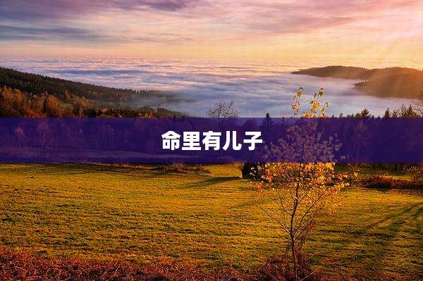 命里有儿子