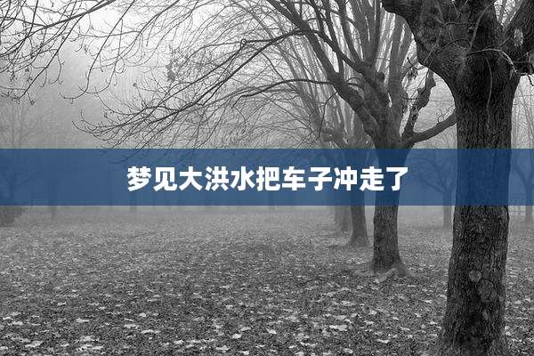 梦见大洪水把车子冲走了