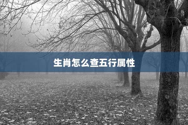 生肖怎么查五行属性