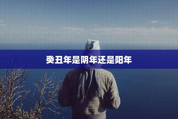 癸丑年是阴年还是阳年