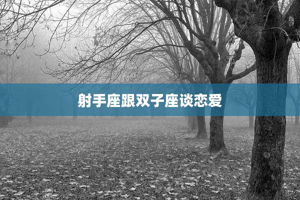 射手座跟双子座谈恋爱