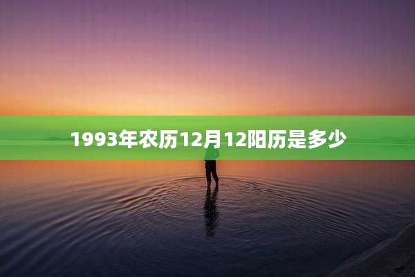 1993年农历12月12阳历是多少