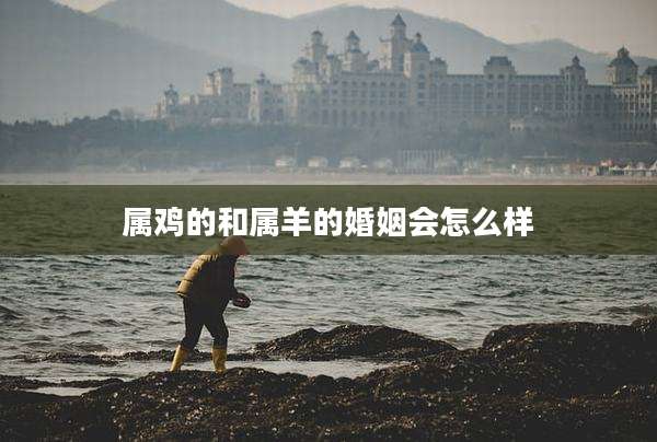 属鸡的和属羊的婚姻会怎么样