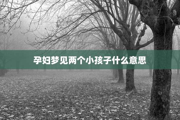 孕妇梦见两个小孩子什么意思