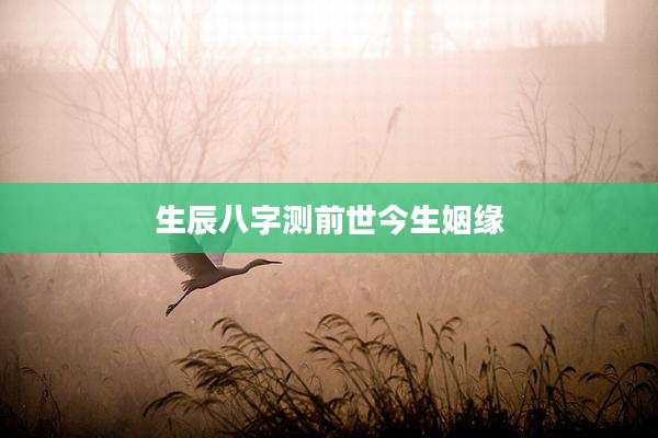 生辰八字测前世今生姻缘