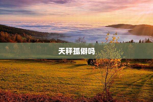 天秤孤僻吗