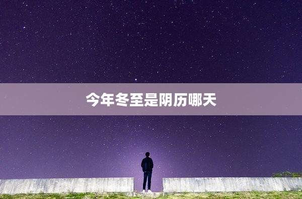 今年冬至是阴历哪天