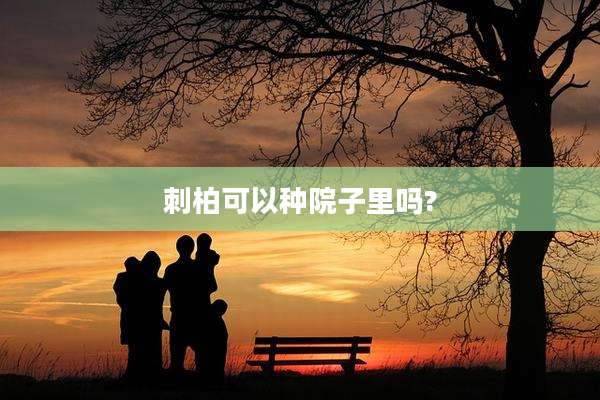 刺柏可以种院子里吗?