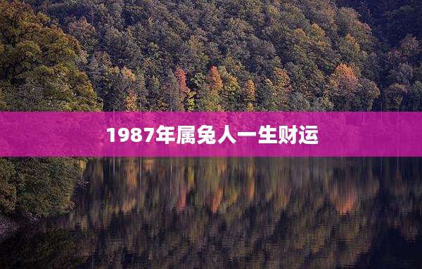 1987年属兔人一生财运