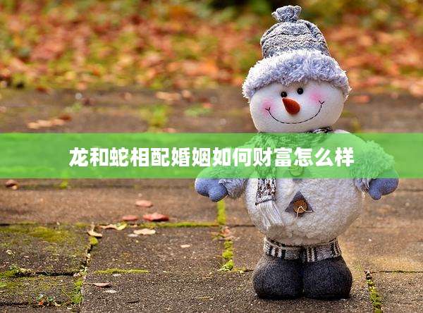 龙和蛇相配婚姻如何财富怎么样
