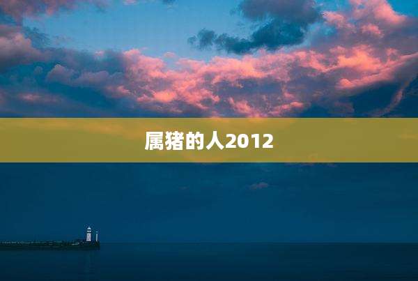 属猪的人2012