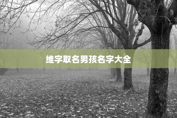 维字取名男孩名字大全