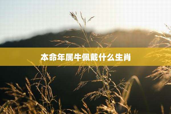 本命年属牛佩戴什么生肖