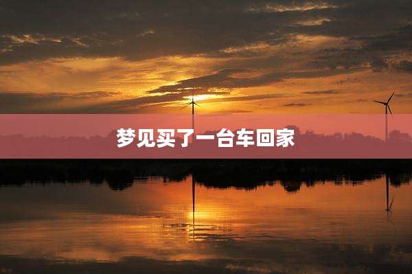 梦见买了一台车回家