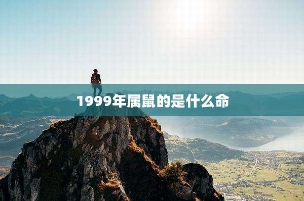 1999年属鼠的是什么命