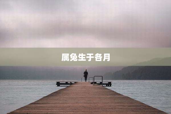 属兔生于各月
