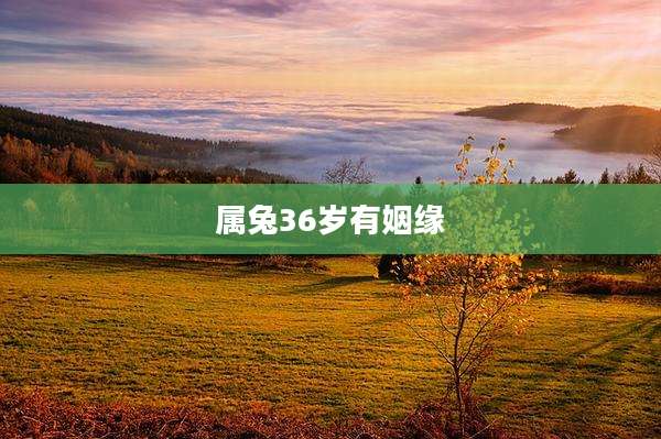 属兔36岁有姻缘