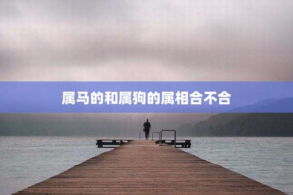 属马的和属狗的属相合不合