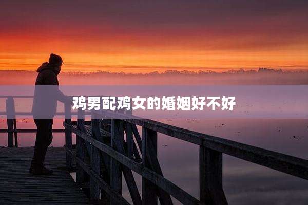 鸡男配鸡女的婚姻好不好
