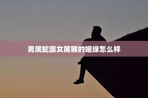 男属蛇跟女属猴的姻缘怎么样