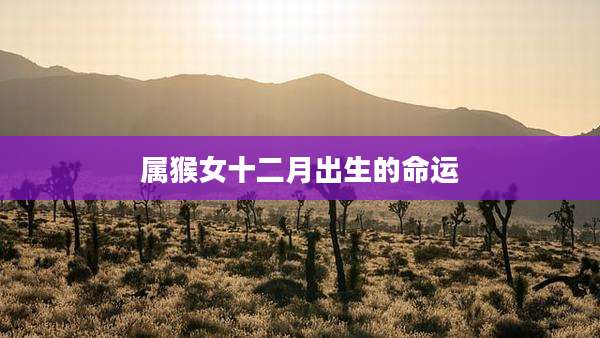 属猴女十二月出生的命运