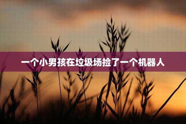 一个小男孩在垃圾场捡了一个机器人