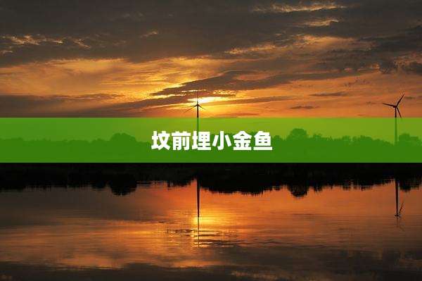 坟前埋小金鱼