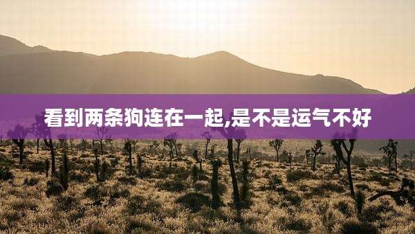 看到两条狗连在一起,是不是运气不好