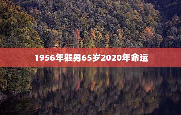 1956年猴男65岁2020年命运