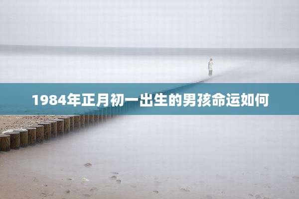 1984年正月初一出生的男孩命运如何