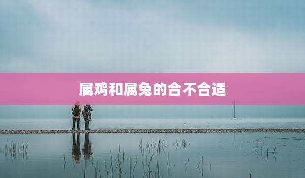 属鸡和属兔的合不合适