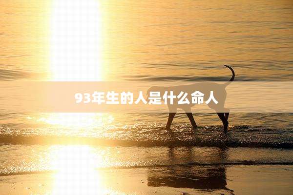 93年生的人是什么命人