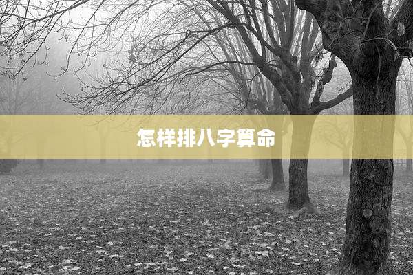 怎样排八字算命