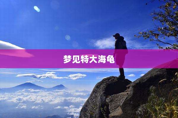 梦见特大海龟