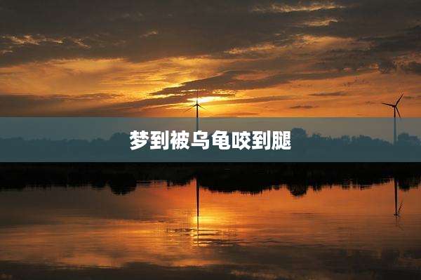 梦到被乌龟咬到腿