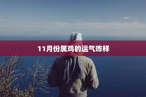 11月份属鸡的运气咋样