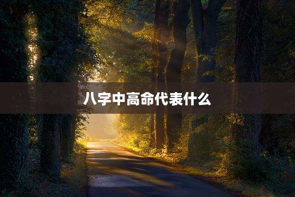 八字中高命代表什么
