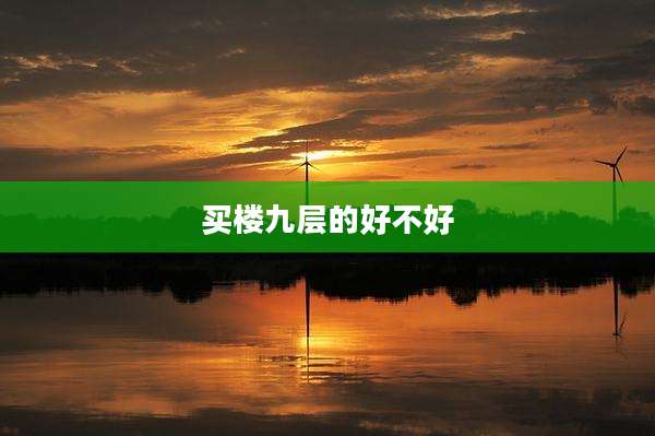 买楼九层的好不好