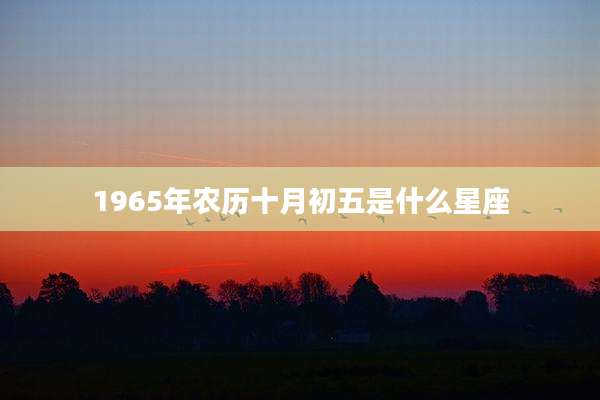 1965年农历十月初五是什么星座