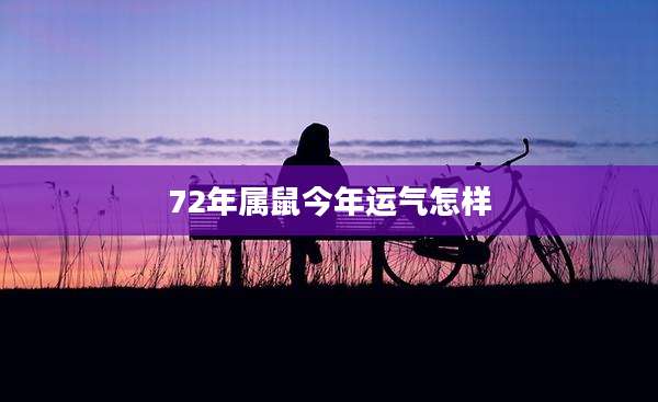 72年属鼠今年运气怎样